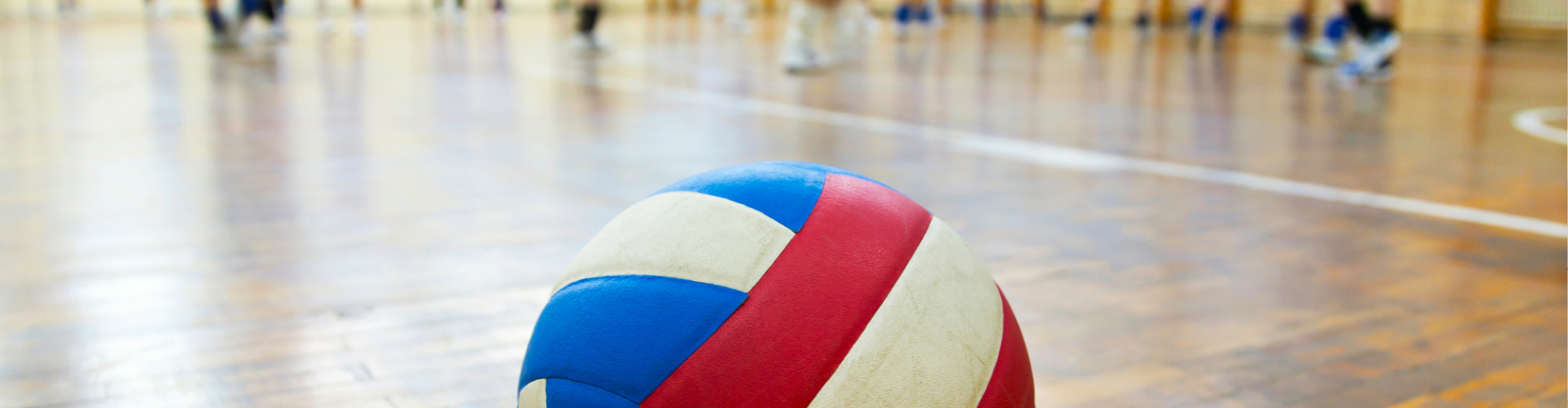 volleyball banner